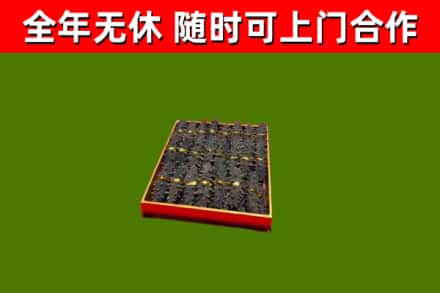 桐梓回收海参